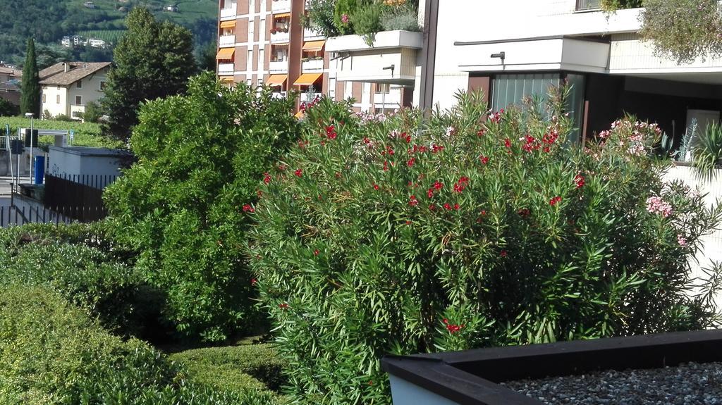 Camere Bolzano Da Glauco Extérieur photo